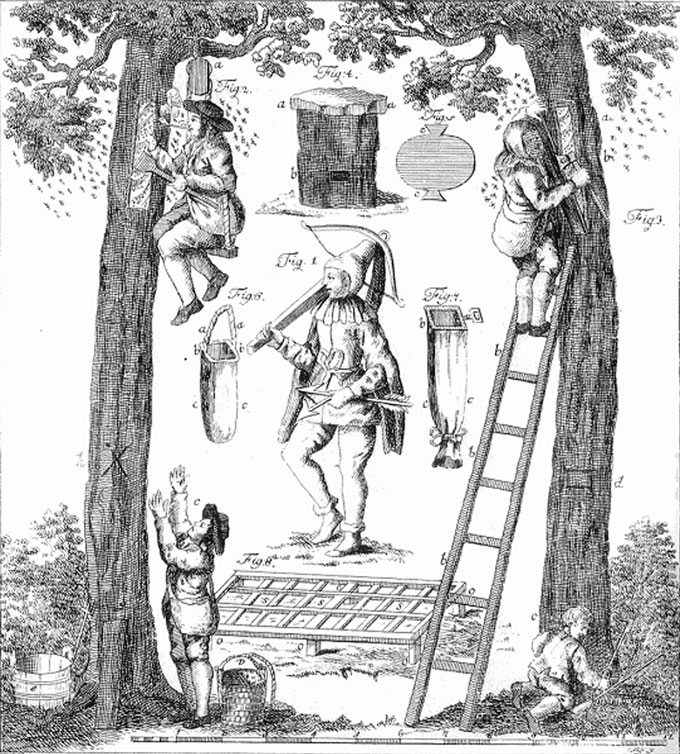 Zeidlerei