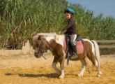 Ponyreiten